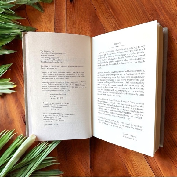 Lamplighter Rare Collector Series - The Robbers’ Cave by A.L.O.E. - 2007 - Picture 6 of 8